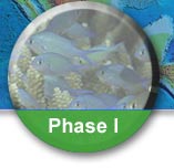 Click here for Phase 1 resources.