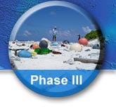 Click here for Phase 3 resources.
