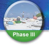 Click here for Phase 3 resources.