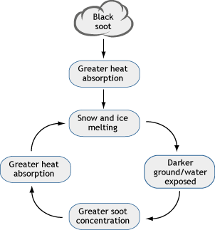 Diagram shows how black soot, which increases heat absorption, contributes to the ice-albedo feedback loop.